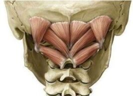 The deep muscles of the neck that keep atlanto in a bad position